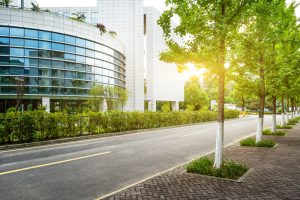 Summer Pest Problems for Commercial Buildings