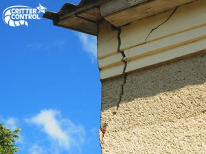 The Importance of Repairing Holes in Your Home’s Exterior