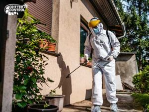 What to Expect in an Emergency Pest Control Visit?